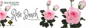 rose-bunch