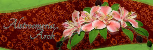 arstroemeria-arch