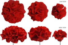 carnation-sets
