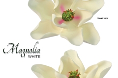magnolia-white-with-shade-pink