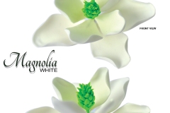 magnolia-white