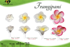 set-frangipani