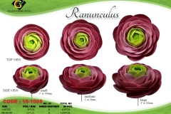 set-ranunculus