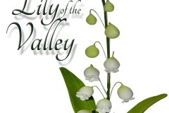 lily-of-the-valley