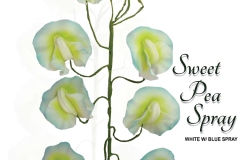 sweet-pea-spray-15-1087whb