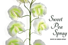 sweet-pea-spray-15-1087whg