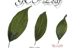 gcp-leaves-single