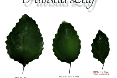 hibiscus-leaf-single