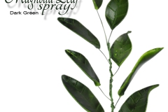 magnolia-spray