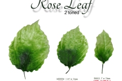 rose-leaf-2-tone-single