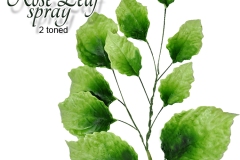 rose-leaf-bunch-2-toned