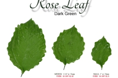 rose-leaf-dark-green-single