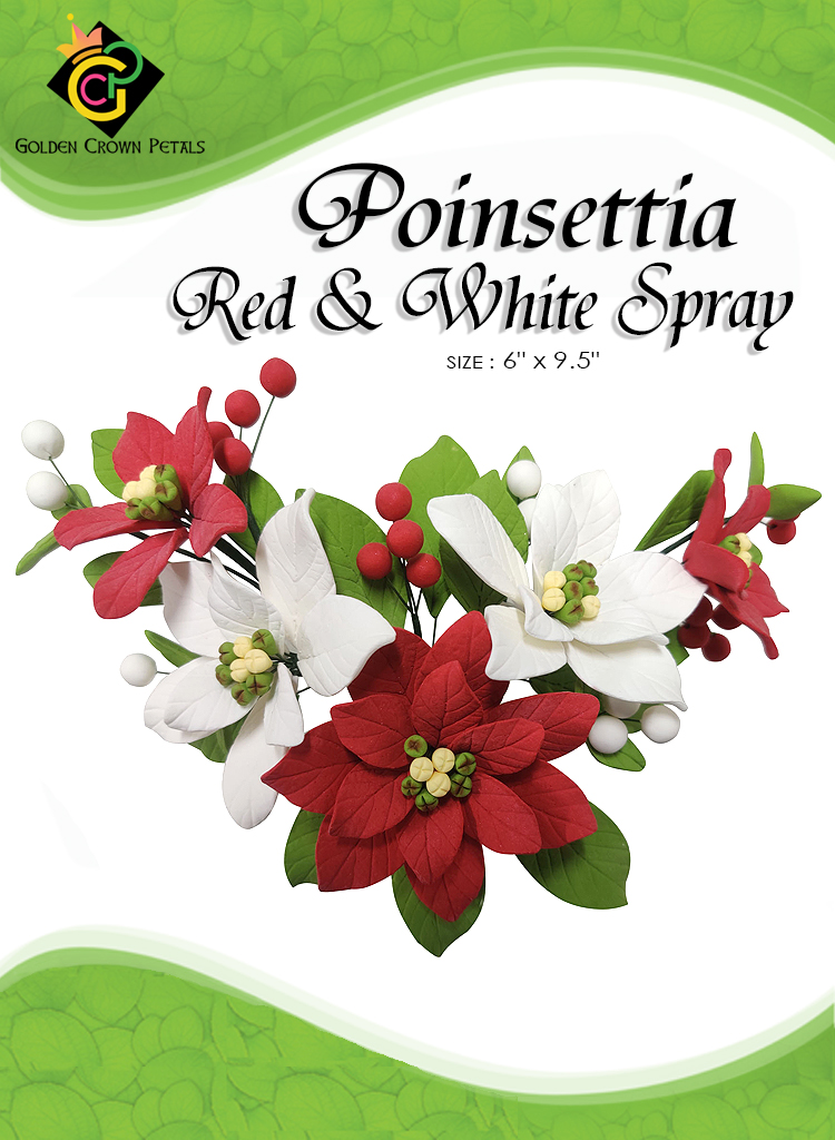 1_POINSETTIA-RED-WHITE-SPRAY