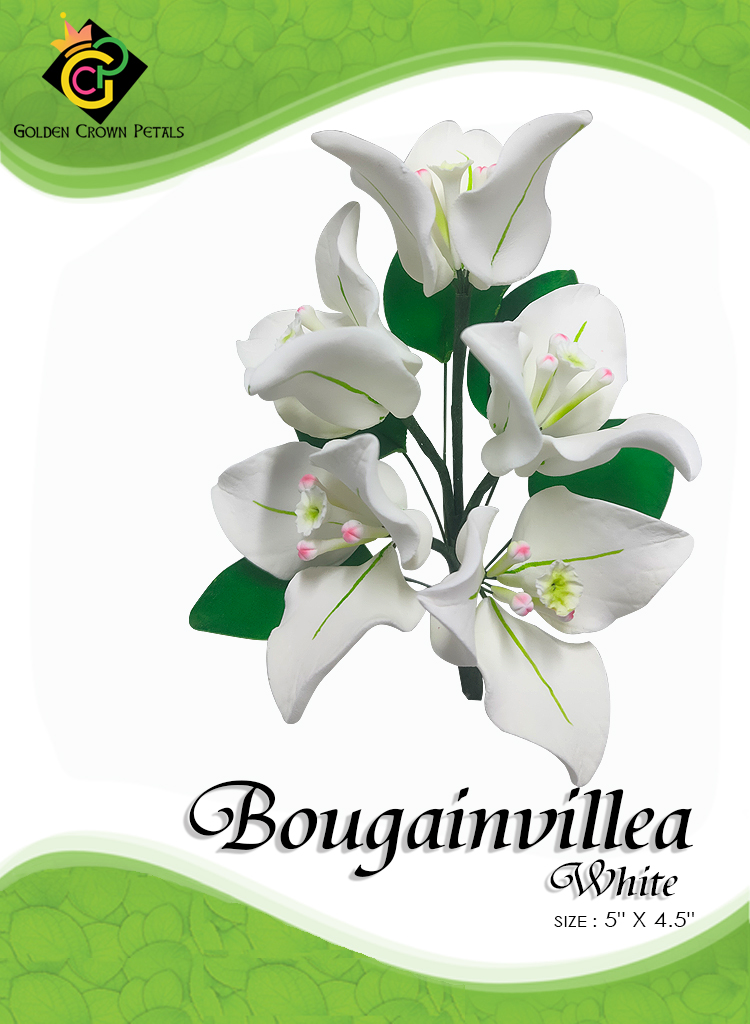 BUGAMVILLA-WHITE
