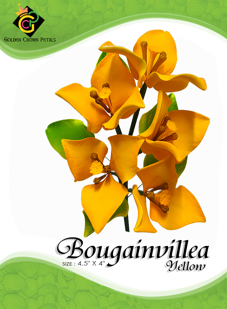 BUGAMVILLA-YELLOW