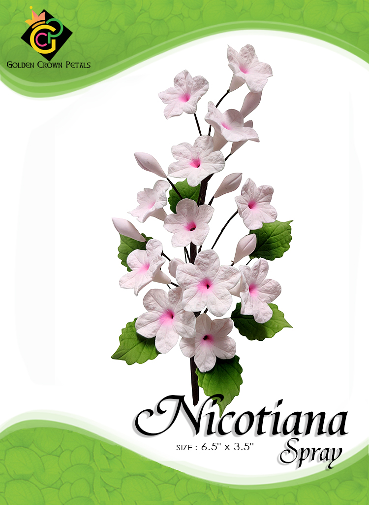NICOTIANA-SPRAY