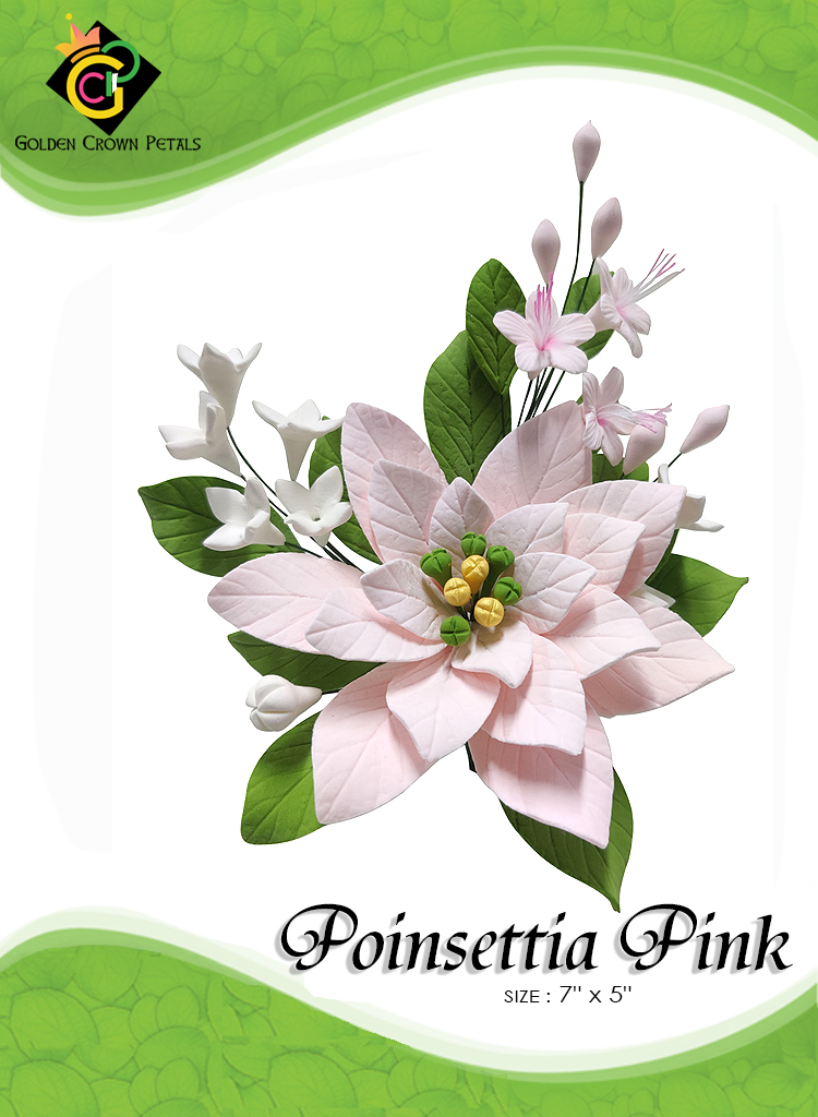 Poinsettia-Pink