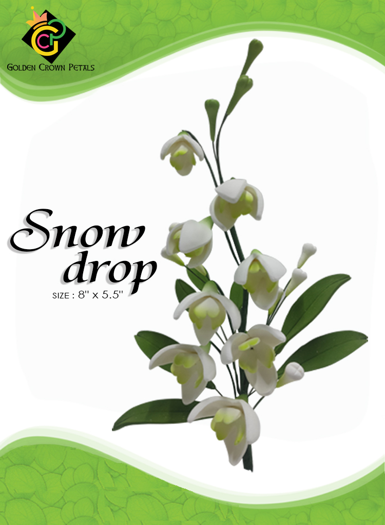 SNOW-DROP