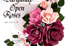 BURGUNDY-OPEN-ROSES