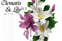 CLEMATIS-AND-LILY-N