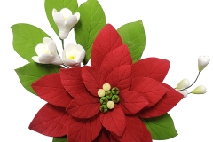 POINSETTIA-RED