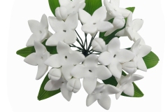 Vardia
