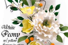 WHITE-PEONY-WITH-YELLOw