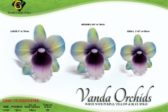 vanda-orchids-1
