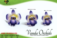 vanda-orchids-purple