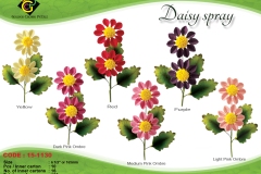 6-daisy