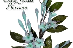 Blue-Grass-Blossom-16-1125