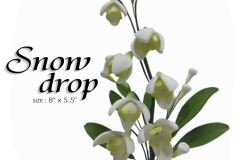 SNOW-DROP