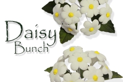 daisy-bunch