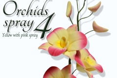 orchids-spray-4