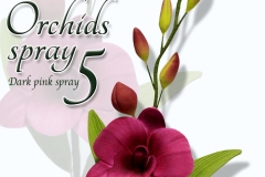 orchids-spray-5