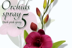 orchids-spray-5