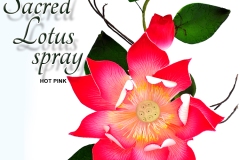 sacred-lotus-spray