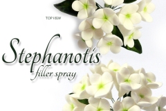 stephanotis-fillers